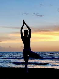 We did not find results for: Vinyasa Yoga Yoga Cocoon
