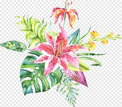 More images for beautiful flower painting » Flower Painting Beautiful S Of Flowers Beautiful Flower Picture Watercolor Flowers Vector Floral Material Png Pngwing