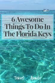 8 Things You Didn T Know You Could Do In Key Largo In 2020 Florida Keys Florida Keys Travel Florida Keys Beaches