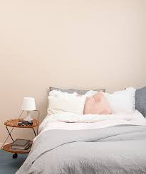 Perfect for bedroom, living room, dining room, and kitchen. Light Peach Colour Wall Paint Novocom Top