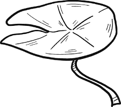 These free printable coloring pages feature unique lily pad pictures with stunning backgrounds that … Normal Lily Pad Coloring Page Free Printable Coloring Pages For Kids