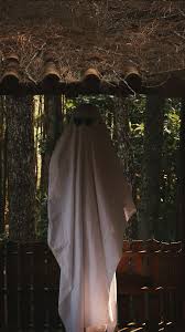  Ghost Photoshoot Challenge Tiktok Ghost Photoshoot Ghost Photoshoot Challenge Ghost Photography