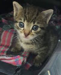 Dost Patiler (@dosttpatiler) · Instagram 照片和视频