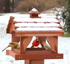 We recommend that it is mounted on a wbu advanced pole system® (aps) (sold separately) or mounted on a 4 x 4 post with wbu 4 x 4 wood post flanges. Looker Fly Through Pavilion Bird Feeder Fly Thru Platform Bird Feeder Pavilion Bird Feeder Fly Through Bird Feeders At Songbird Garden