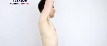 Check spelling or type a new query. Shoulder Examination Osce Guide Geeky Medics