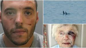 The cop attacker, cement dust 'drugs' and killer whales