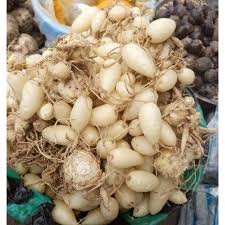 Aplikasikan masker kunyit putih ke kulit wajah dan diamkan selama 30 menit. Kunyit Putih 1 Kg Shopee Indonesia