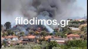 Ένα άτομο έχασε τη ζωή του έπειτα από φωτιά που ξέσπασε σε μονοκατοικία στο αίγιο. Axaia Fwtia Ston Kataylismo Seismoplhktwn Sto Aigio Parado8hkan Stis Floges Konteiner Sto Nosokomeio Treis Pyrosbestes Me Anapneystika Neotera Fwto Tempo24 News