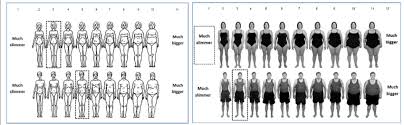 The price depends largely on the material used to make them, but also on the realism of its construction. Average Size Of Male And Female Mannequins Mean Mannequin Sizes Rated Download Scientific Diagram