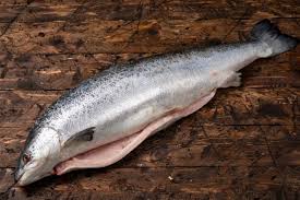 We did not find results for: Ikan Salai Sejuk Di Kedai Berasap Di Rumah Peraturan Penyimpanan