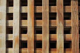 We did not find results for: Spec Tre Lattice The Redwood Store