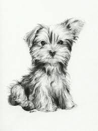 Pinterest Lookingthestars Animal Drawings Dog Art Puppy Drawing As calm mindfulness resources to give your children a chance.