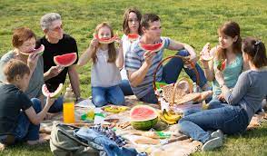 Slang an easy task or pleasant experience: 8 Innovative Picnic Ideas Pure Leisure News And Tips