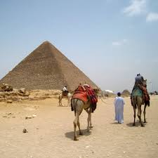 What do camels use to hide themselves? Blogography 2015