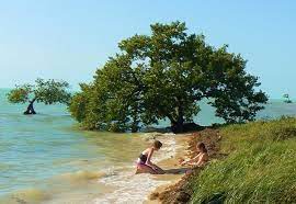 Compare prices & save money with tripadvisor (world's largest travel website). Long Key State Park Florida State Parks