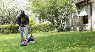 Atlanta turf & landscapes inc is a lawn and garden service located in dallas, ga known for reliability and transparent pricing. Man On A Mission To Mow Lawns In All 50 States For A Good Cause Cbs News