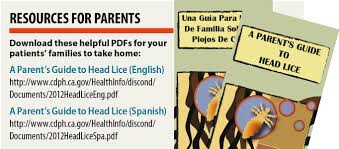 Check spelling or type a new query. Head Lice Myths Facts Treatments