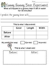 Yummy Gummy Bear Experiment Science Activities Gummy Bear Experiment Science Fair