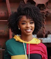 Make sure that first you have to stop whitening of your hair, in order to do so, you should apply an oil mixed with. 25 Natural Hair Blogs For Women To Follow Natural Girl Wigs