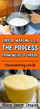 The Cheese Making Process Homemade Cheese Cheese Making Recipes Cheese Recipes
