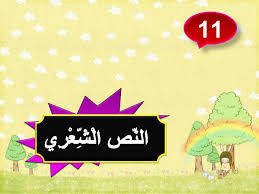 النص الشعرى من أصادق