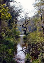 The World S Oldest Botanical Gardens Gardens Of The World Lost Garden Lost Gardens Of Heligan