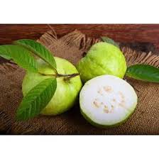 Gambar buah hitam putih clipart best. Buah Jambu Segar Jambu Kristal Buah Jambu Kristal Jambu Kristal Segar Buah Segar Buah Buahan Shopee Indonesia