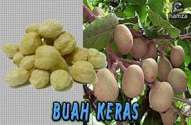 Buah yang satu ini menjadi buah yang pantas untuk dinikmati karena rasa manisnya yang enak dan juga segar. Ketahui Rupa Bentuk Rempah Ratus Sebelum Di Keringkan Dan Sampai Ke Dapur Rumah Kita Blog Santai Santai Jerr