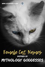 Discover the cat goddess bast. 15 Goddess Names For Female Cats Cute Pet Names Cute Cat Names Cat Names