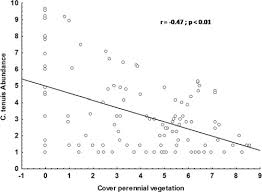 Image result for Otiophora pycnostachys