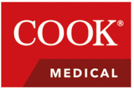Veryan, biotronik, boston scientific corp., cook medical, . European Society For Vascular Surgery Executive Partnerships