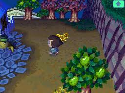 The gold rose is probably the most difficult flower to get in animal crossing new horizons in terms of actual work necessary. Golden Tools Animal Crossing Wiki Fandom