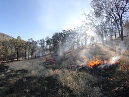 The american indian sculpture was created by wichitan and native american artist blackbear bosin (1921. How Indigenous Burning Practices Could Prevent Massive Wildfires