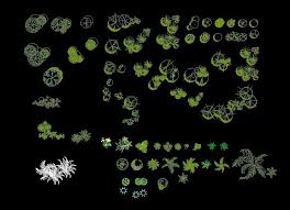 Drawings and blocks of people in different projections and types. Trees And Palm Trees Plants Top View Plan 2d Dwg Block For Autocad Palm Tree Plant Plants Top View Autocad Design