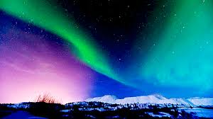 Https Encrypted Tbn0 Gstatic Com Images Q Tbn And9gcssidxru7jd9bt3hr9 J3c4mjl Bvmqr4xwcw Usqp Cau