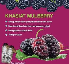 Check spelling or type a new query. Khasiat Buah Mulberry Daun Abey Agro Biz Resources Facebook