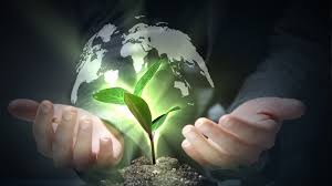 Protecting Our Environment: The Importance of Taking Action