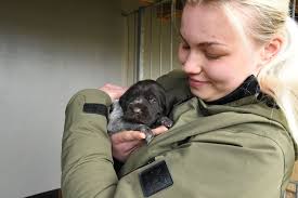 Hundezucht: Barby: Alle lieben diesen Welpen