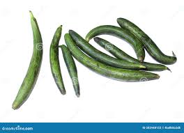 Ridge Guard, Gilki or Turai Fresh Vegetable Stock Image - Image of fruit,  angled: 202448153