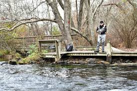 Often recognized for its excellent saltwater fishing, long island also provides the angler with outstanding freshwater fishing opportunities in more than 500 lakes and ponds and over 30 miles of the carmans river showcases native brook trout, the only trout species native to long island. Rainbow Brook Trout Fish In Water Of Mountain River In Norway Stock Image Image Of Sport Mouth 158991695