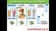 22 Best Herbal Life Images Herbalife Recipes Herbalife