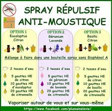 Brodouille Detournement Produits Menagers Moustique Repulsif