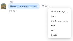 Replying And Managing Chat Messages Zoom Help Center
