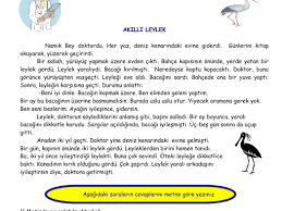3 Sinif Turkce Okuma Anlama Metinleri 5n 1k Google Drive En 2020