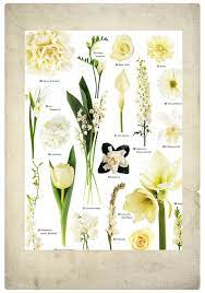 Check spelling or type a new query. Vintage Wedding Flowers How To Vintage Wedding Flowers Flower Names Orchids