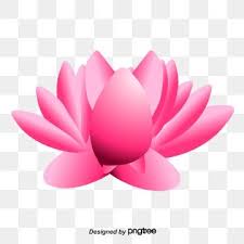 Lotus Vector Buddhism Lotus Guanyin Pink Vector Lotus Vector Pink Lotus Pink Watercolor Flower