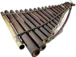 Karena alat musik yang satu ini terbuat dari sejenis tumbuhan hutan yang biasa disebut suku dayak berasal pelepah tua pohon joko. 4 Alat Musik Tradisional Khas Kalimantan Utara Gambar Dan Penjelasan Mantabz