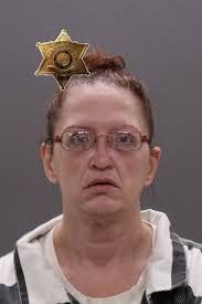 Deputies: Leicester woman lied about fire to get money