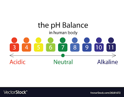 the ph balance scale chart in a human body