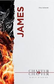 James: A Chapter-by-Chapter Bible Study: An Easy to Use Study of an Entire  Book of the Bible by Troy Schmidt